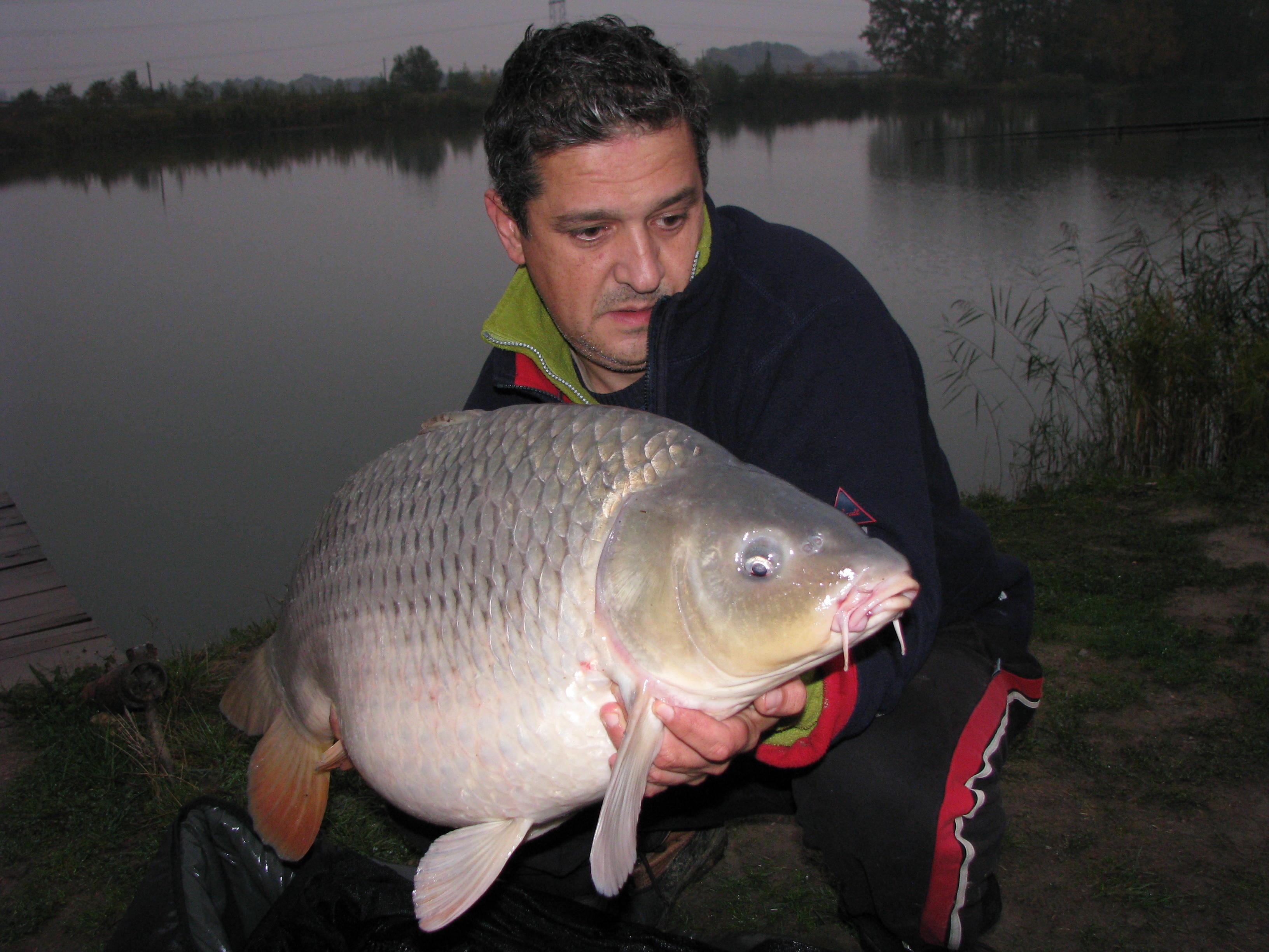 capturi - IMG_3644.JPG